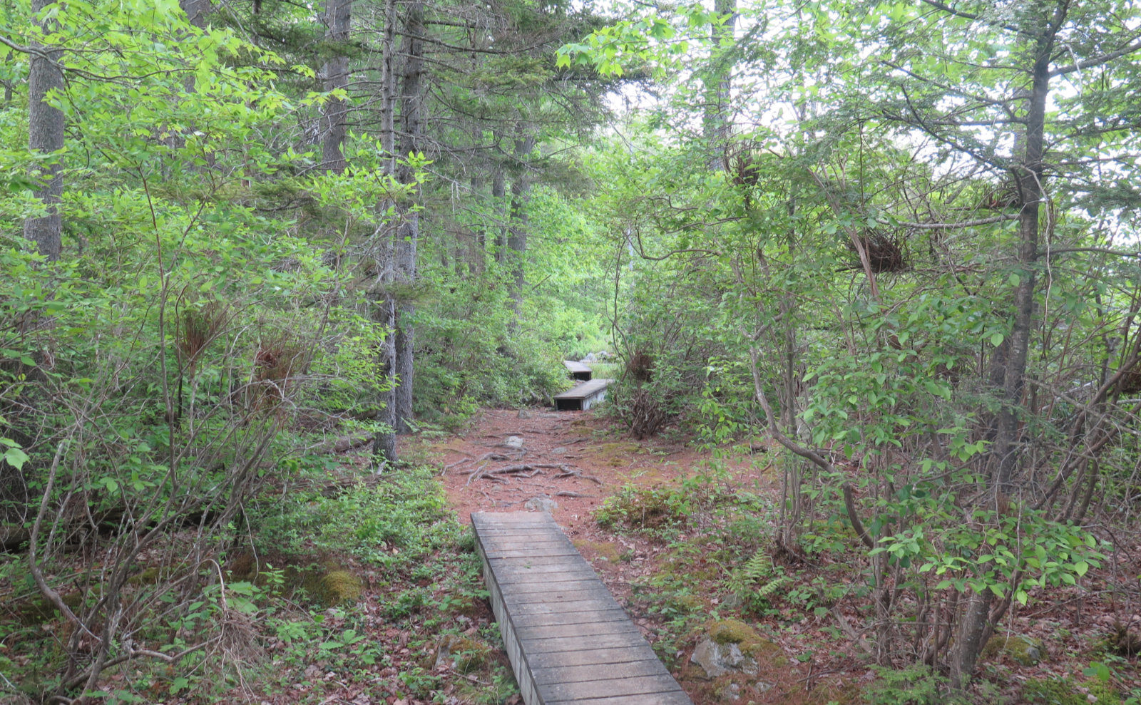 Wapack trail outlet camping