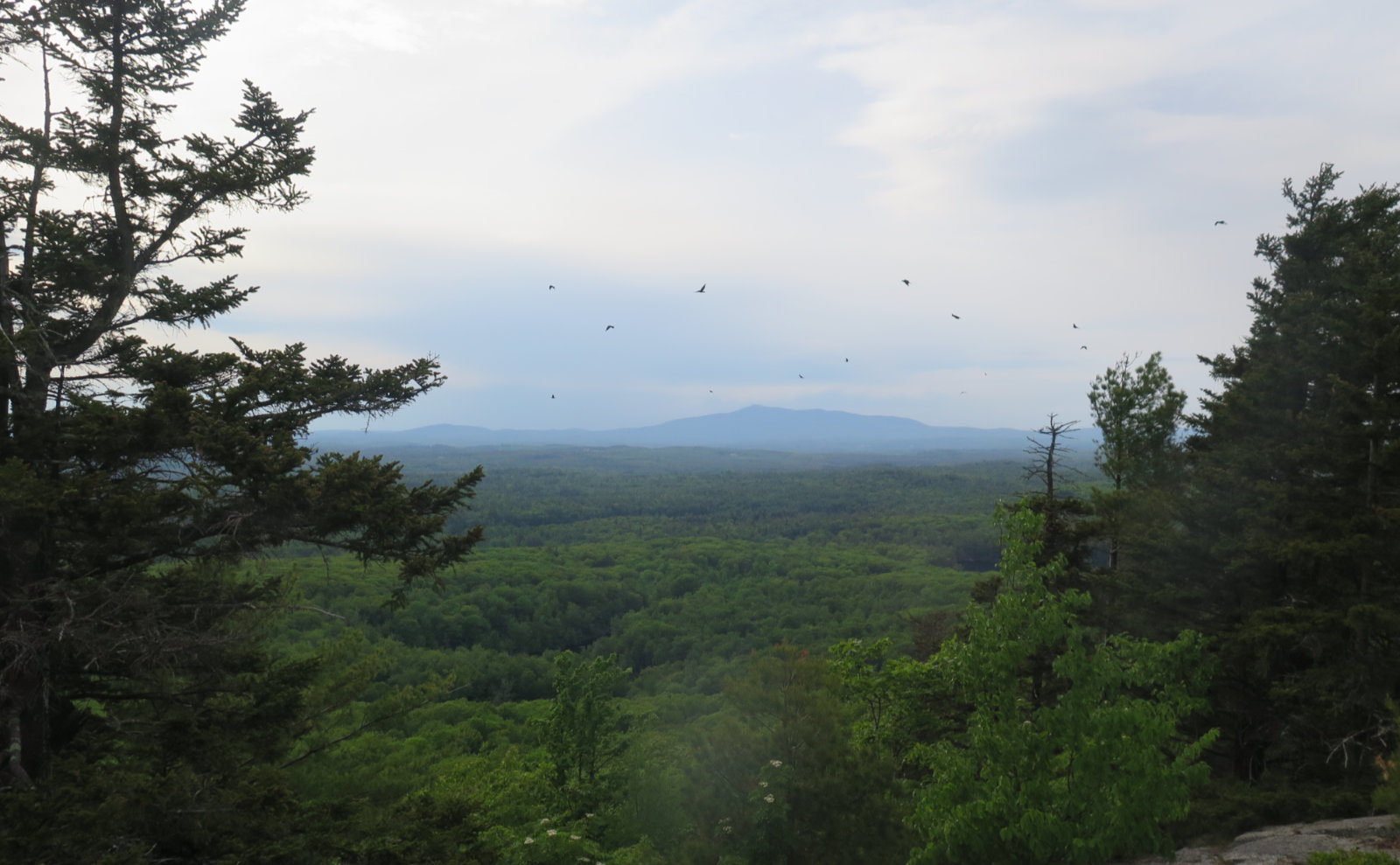 Wapack shop trail camping