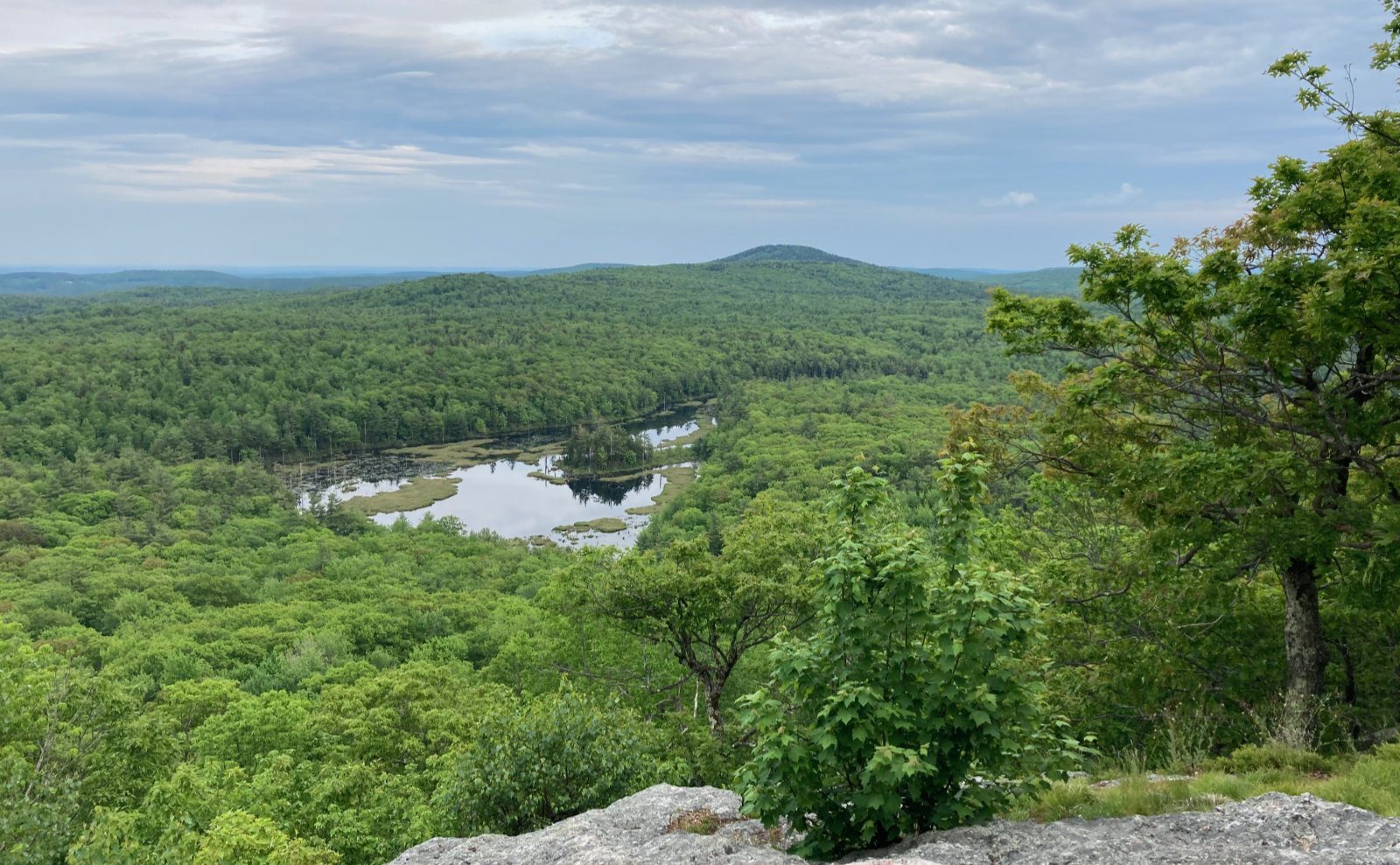 Wapack 2025 trail camping