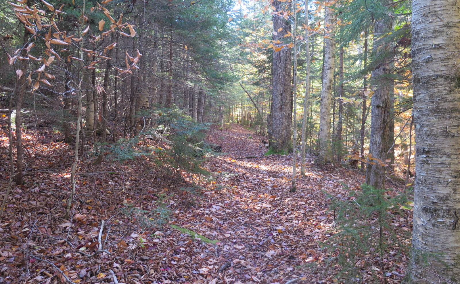 North Tripyramid Mountain NH