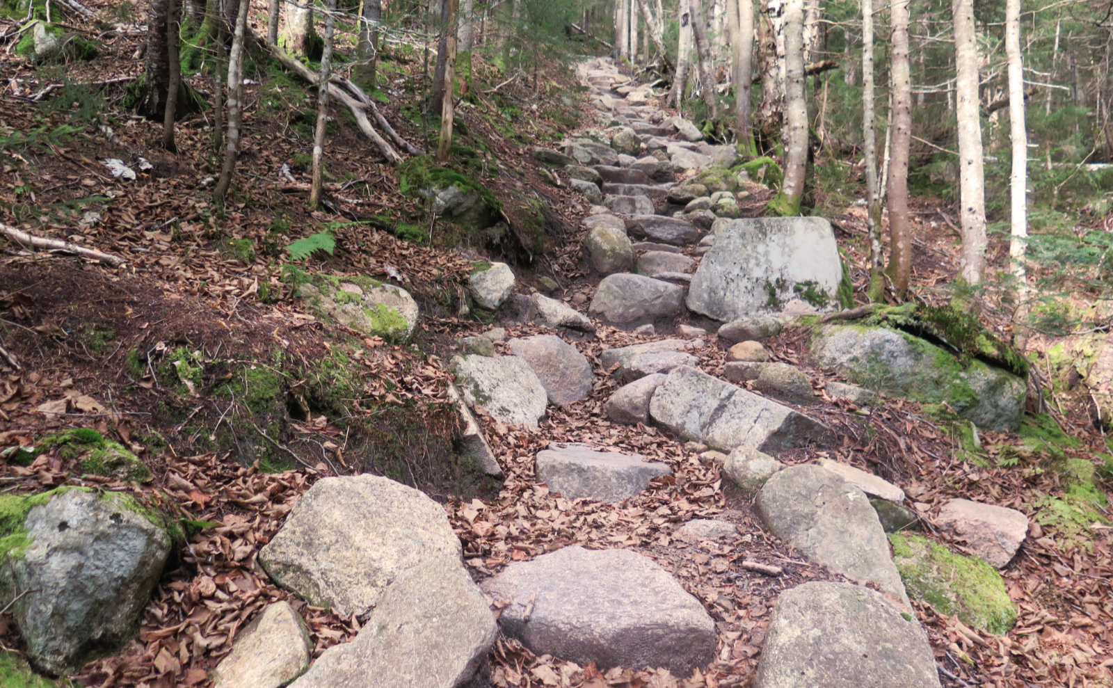 Mount Bond NH